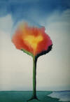 blomma i akvarell, Kärleken mellan himmel och jord, fleur à l´aquarelle,